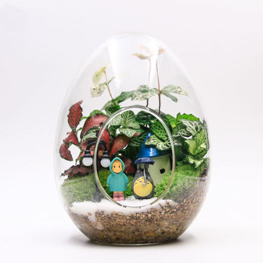 Creative Egg-shaped Glass Bottle Succulent Plant Glass Vase Micro Landscape Moss